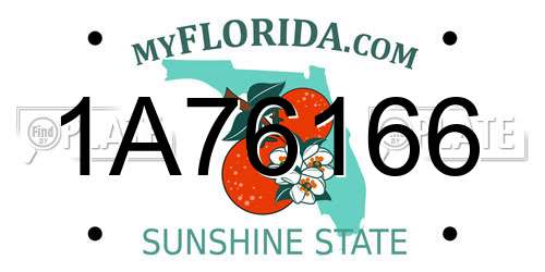 1A76166 Florida License Plate