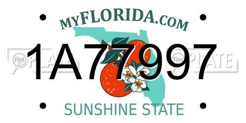 1A77997 Florida License Plate