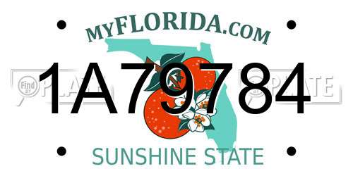 1A79784 Florida License Plate