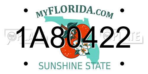 1A80422 Florida License Plate