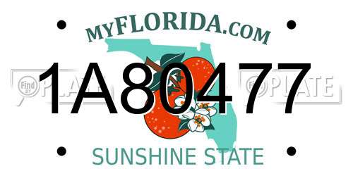 1A80477 Florida License Plate