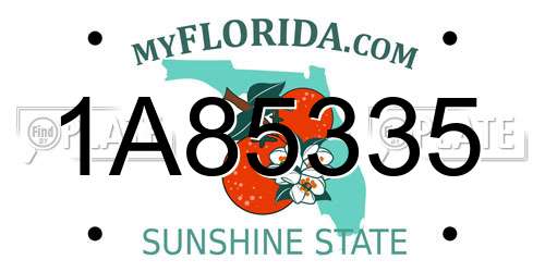 1A85335 Florida License Plate