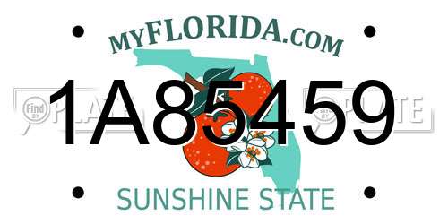 1A85459 Florida License Plate