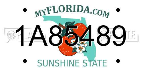 1A85489 Florida License Plate