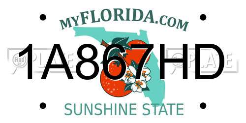 1A867HD Florida License Plate