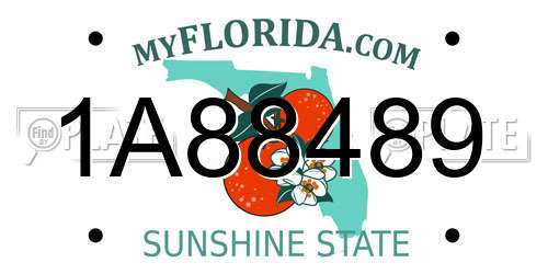 1A88489 Florida License Plate