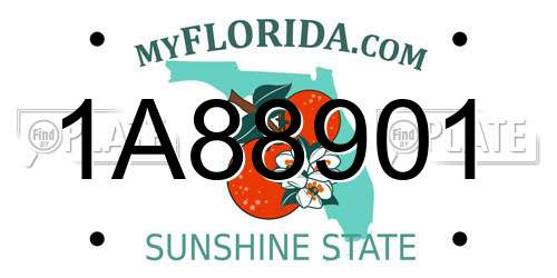 1A88901 Florida License Plate
