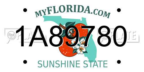 1A89780 Florida License Plate