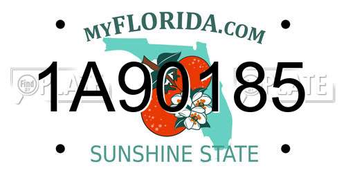 1A90185 Florida License Plate
