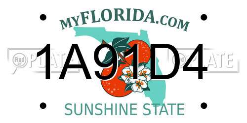 1A91D4 Florida License Plate