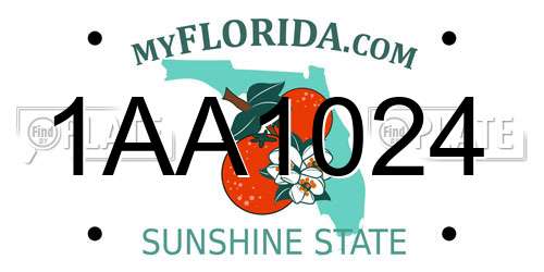 1AA1024 Florida License Plate