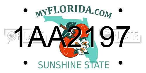 1AA2197 Florida License Plate