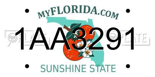1AA3291 Florida License Plate