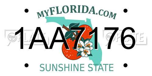 1AA7176 Florida License Plate