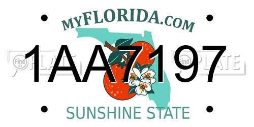 1AA7197 Florida License Plate