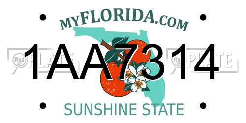 1AA7314 Florida License Plate