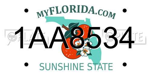 1AA8534 Florida License Plate