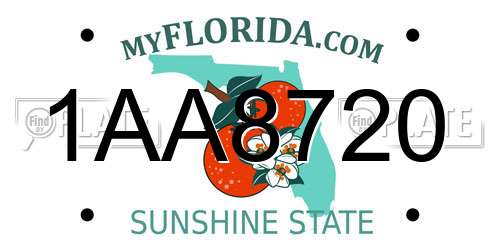 1AA8720 Florida License Plate