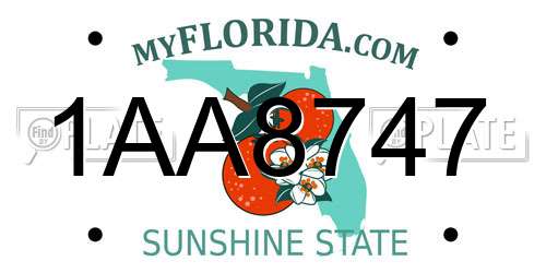 1AA8747 Florida License Plate