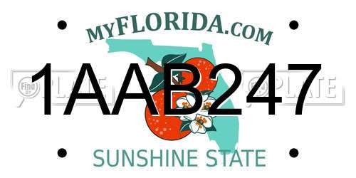 1AAB247 Florida License Plate