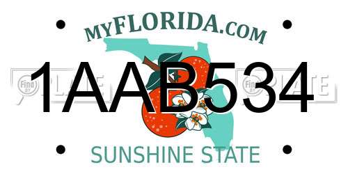 1AAB534 Florida License Plate