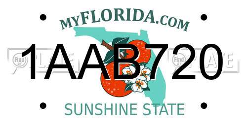 1AAB720 Florida License Plate