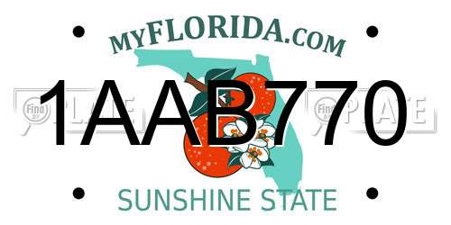 1AAB770 Florida License Plate