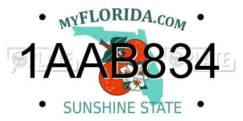 1AAB834 Florida License Plate