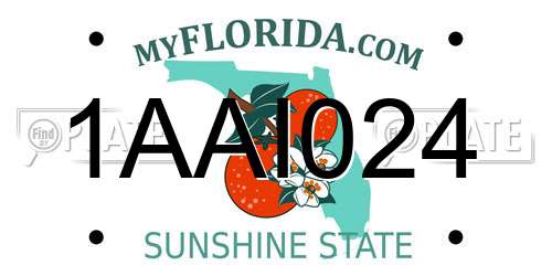 1AAI024 Florida License Plate