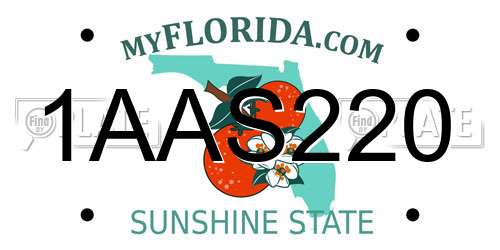 1AAS220 Florida License Plate
