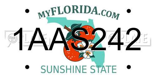 1AAS242 Florida License Plate