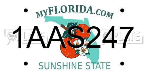 1AAS247 Florida License Plate