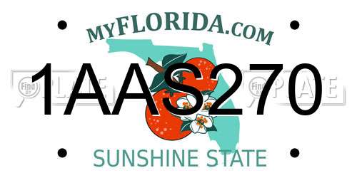 1AAS270 Florida License Plate