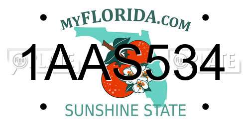 1AAS534 Florida License Plate
