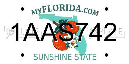 1AAS742 Florida License Plate
