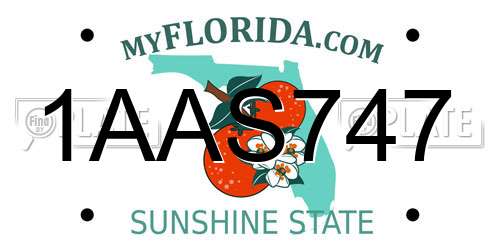 1AAS747 Florida License Plate