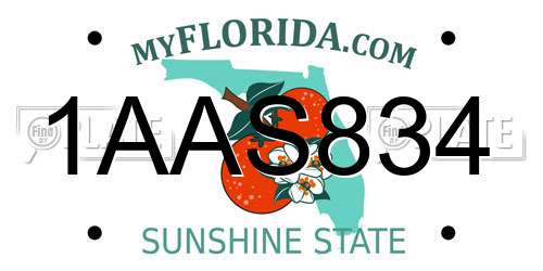 1AAS834 Florida License Plate