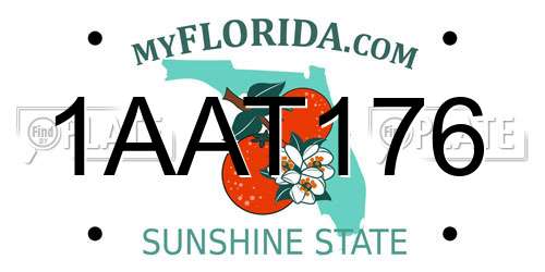 1AAT176 Florida License Plate