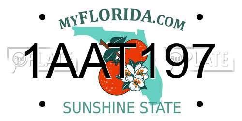 1AAT197 Florida License Plate