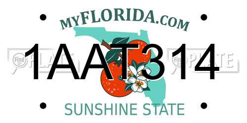 1AAT314 Florida License Plate