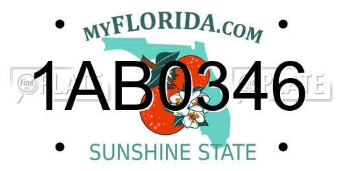 1AB0346 Florida License Plate