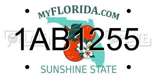 1AB1255 Florida License Plate