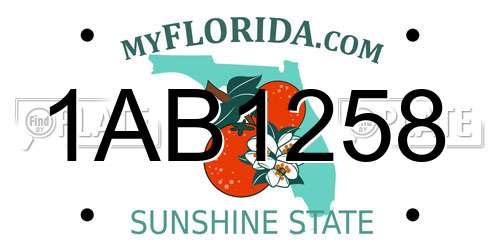 1AB1258 Florida License Plate