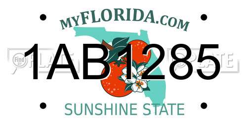1AB1285 Florida License Plate