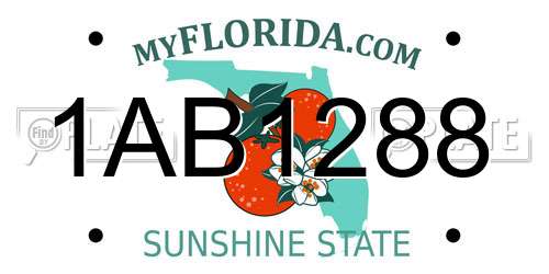 1AB1288 Florida License Plate