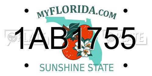 1AB1755 Florida License Plate