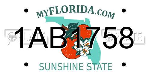 1AB1758 Florida License Plate