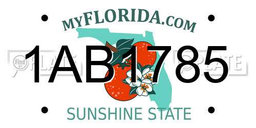 1AB1785 Florida License Plate