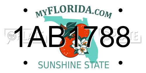 1AB1788 Florida License Plate