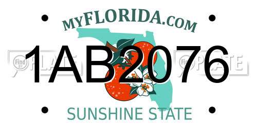 1AB2076 Florida License Plate
